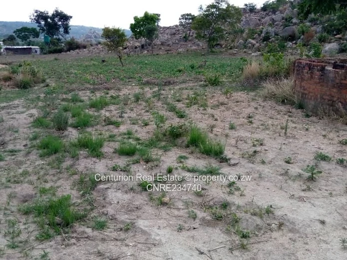 Sally Mugabe Heights