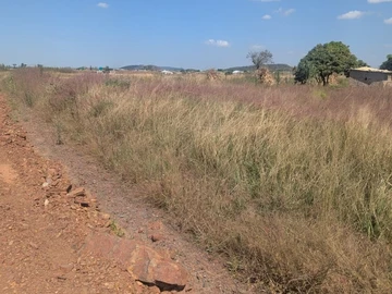 Land