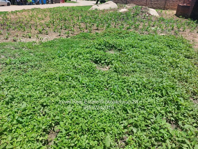 Zimre Park Incomplete House (Sole Mandate)