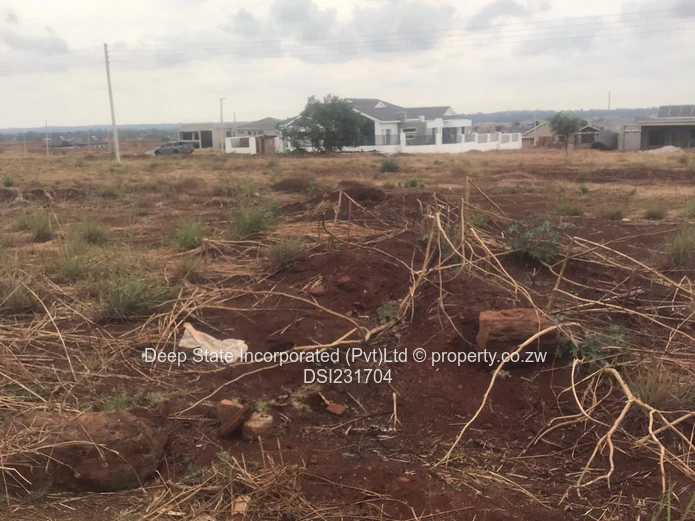 Nyeredzi stand for sale 