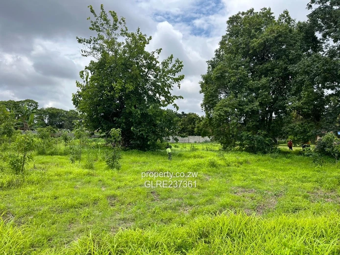 Quick sale -Sub- division stand in Marlborough 