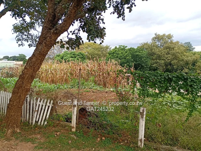 A Choice Of 2 Residential Land For Sale In Helensvale