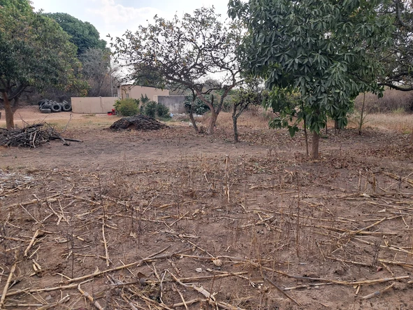 Stands & Residential Land