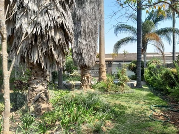 2 Bedroom Garden Flat