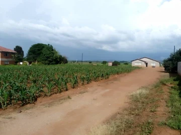 Stands & Residential Land