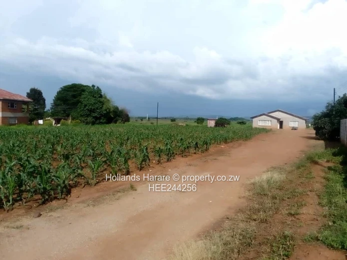 Stand For Sale In Norton (Sole Mandate)