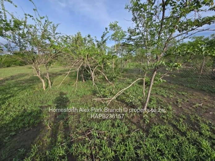 Kadoma Clonmoran Plot 
