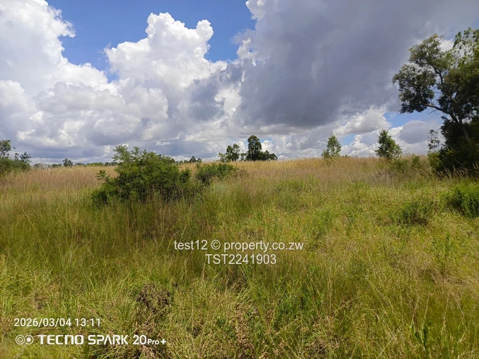 Ruwa - Goromonzi Plot for sale  (Sole Mandate)