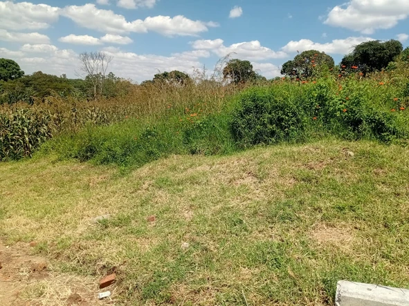 Stands & Residential Land