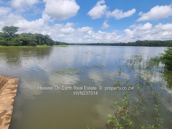 Green Gold For You Farmers!!