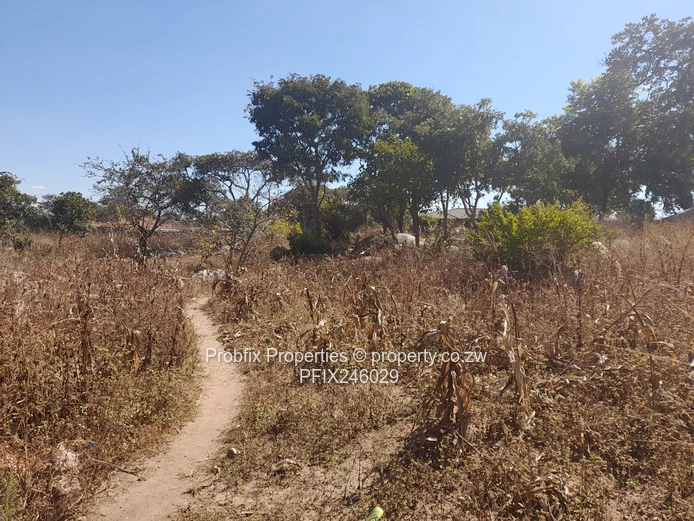 Crow Hill Residential Stand for Sale