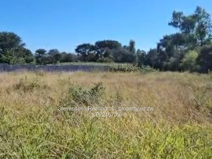 4000sqm stand for Sale in Killarney Bulawayo (Sole Mandate)