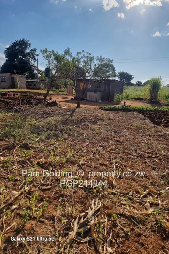 Stand for Sale in Norton