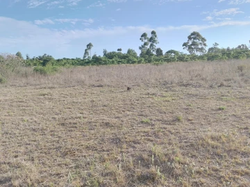 Farm & Agricultural Land