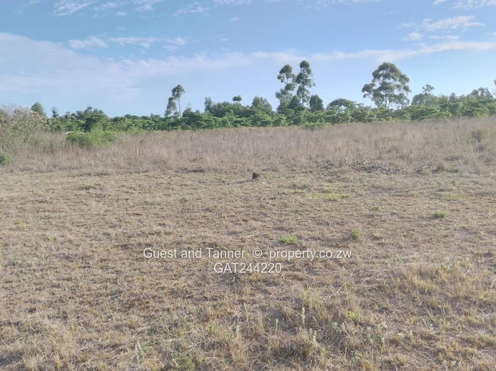 59.3ha Agricultural Farm For Sale In Mutare Odzani
