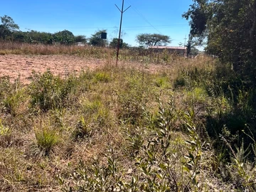 Farm & Agricultural Land
