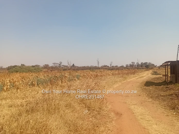 Mount Hampden Plot For Sale 