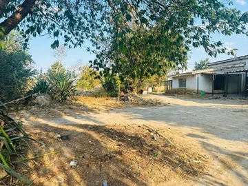 Farm & Agricultural Land