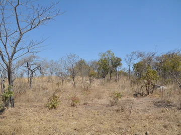 Farm & Agricultural Land