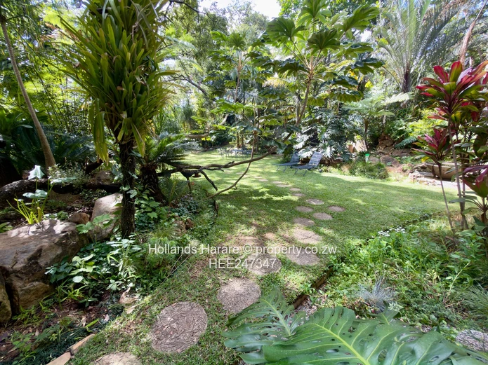 Incredible property in Glen Lorne