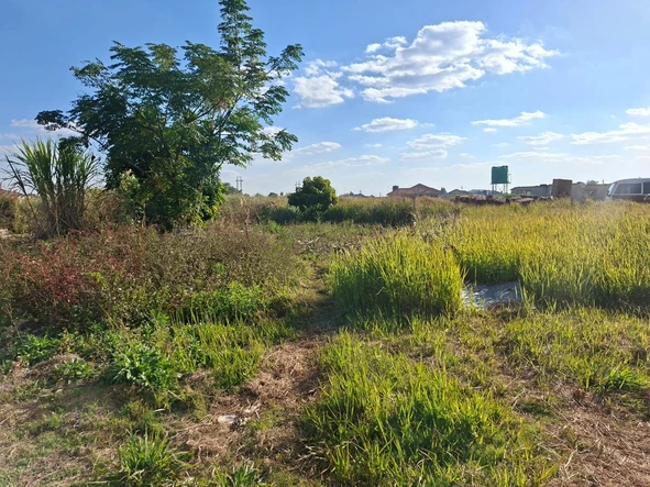 Stands & Residential Land