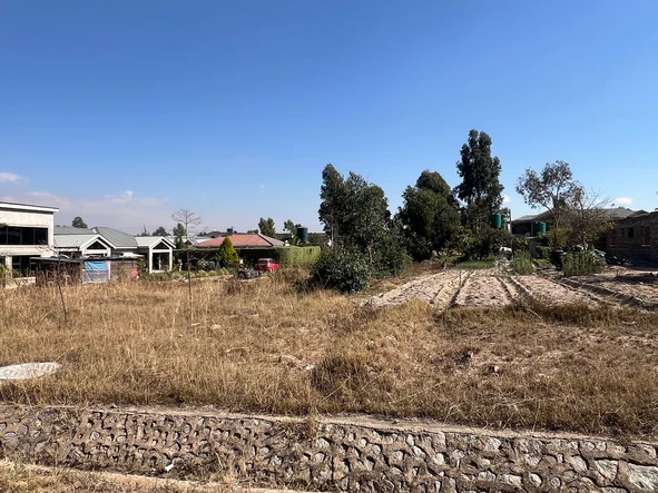 Stands & Residential Land