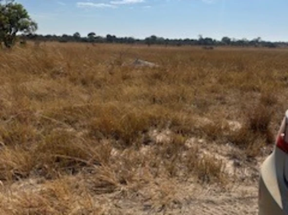 Farm & Agricultural Land