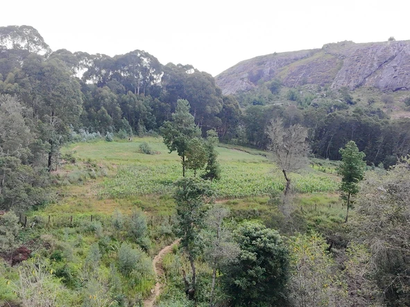 Farm & Agricultural Land