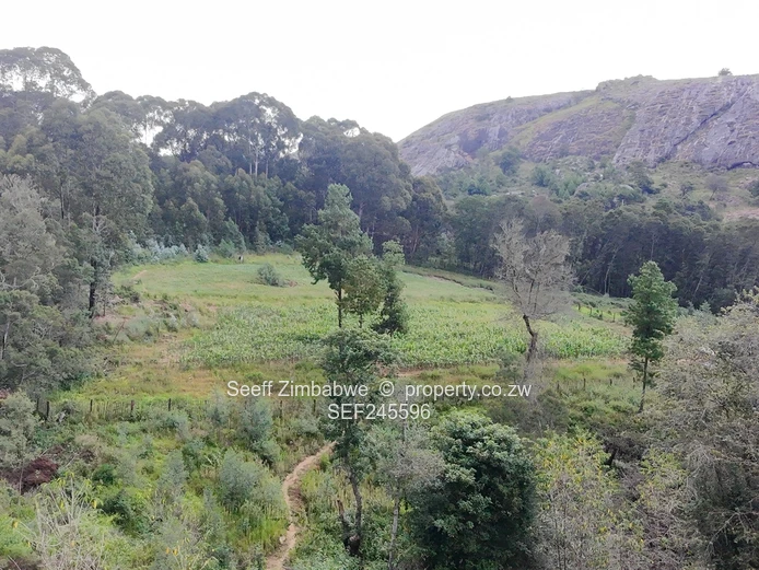 14-Hectare Agri-Residential Plot along Chamakova