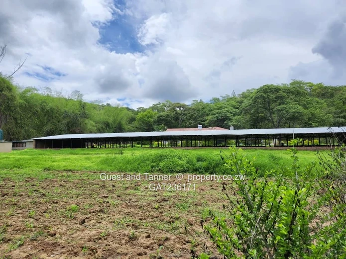 QUICK SALE! Umwinsdale Property for Sale – Prime Location, Exceptional Potential with Deeds