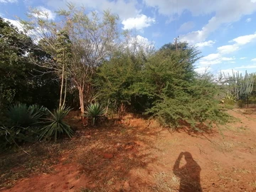 Farm & Agricultural Land