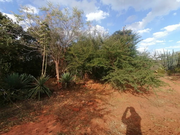 Farm & Agricultural Land