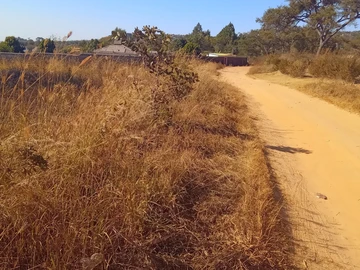 Stands & Residential Land