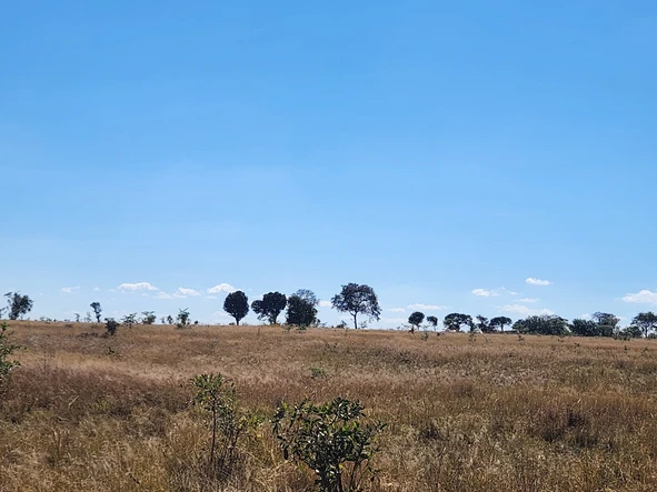 Farm & Agricultural Land