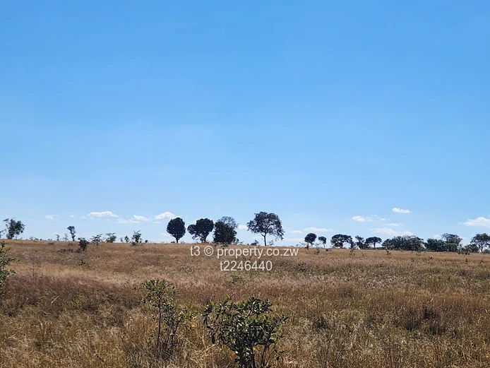 Darwendale Farm - 400 hectares 