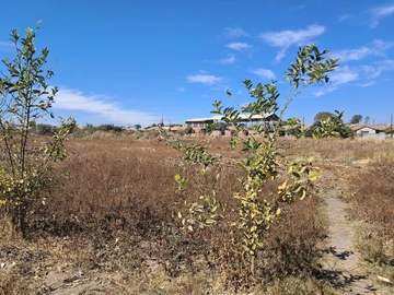Commercial & Industrial Land