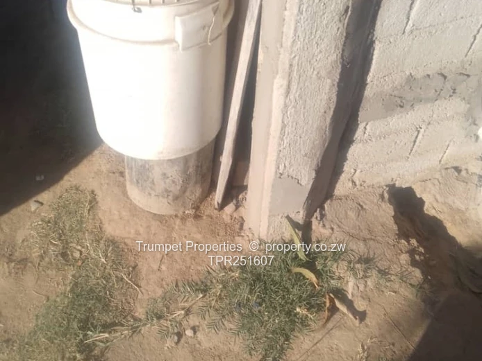 3-Bed Brick Home with Spacious Yard & ZESA in Budiriro