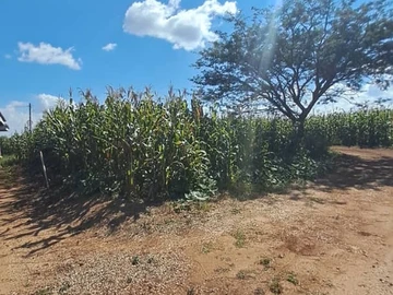 Prime 2000m² Residential Land in Gletwin Park, Harare