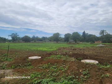 Stands & Residential Land