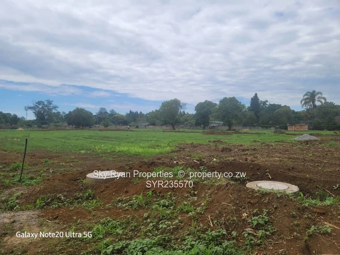 Marlborough Adlyn Stands For Sale