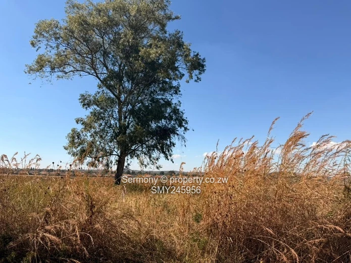 Residential Stands Up For Grabs  