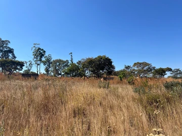 Farm & Agricultural Land