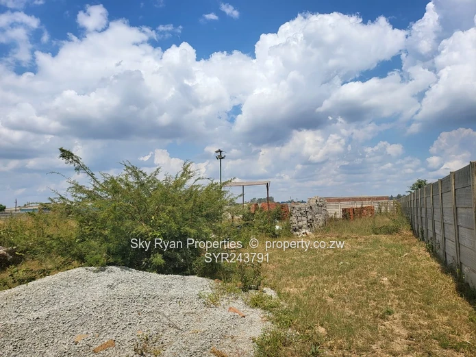 Whitehouse Commercial Stand For Sale