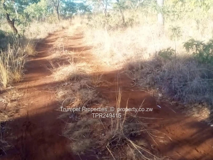 20ha Mapinga Farm - Red Soil Tracks, Arable Grazing Land