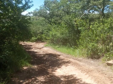 Farm & Agricultural Land