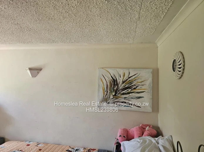 Investment Opportunity  (Sole Mandate)