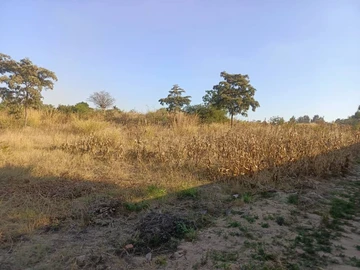 Land