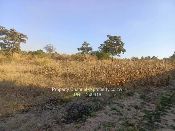 Stand for Sale – Prime Location Near Ocean Primary School