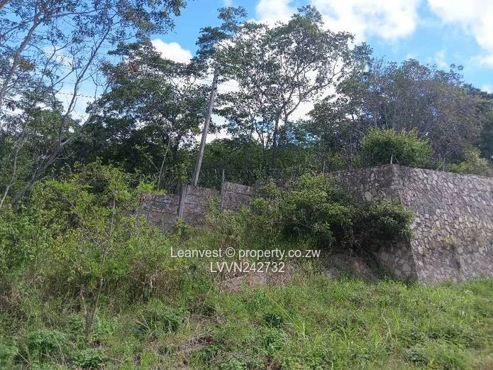 Glen Lorne Stand For Sale 