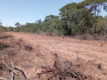 Farm & Agricultural Land